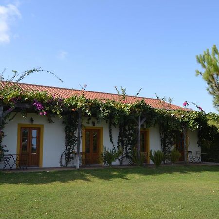 Casa De Campo Vale Do Asno Altura Extérieur photo